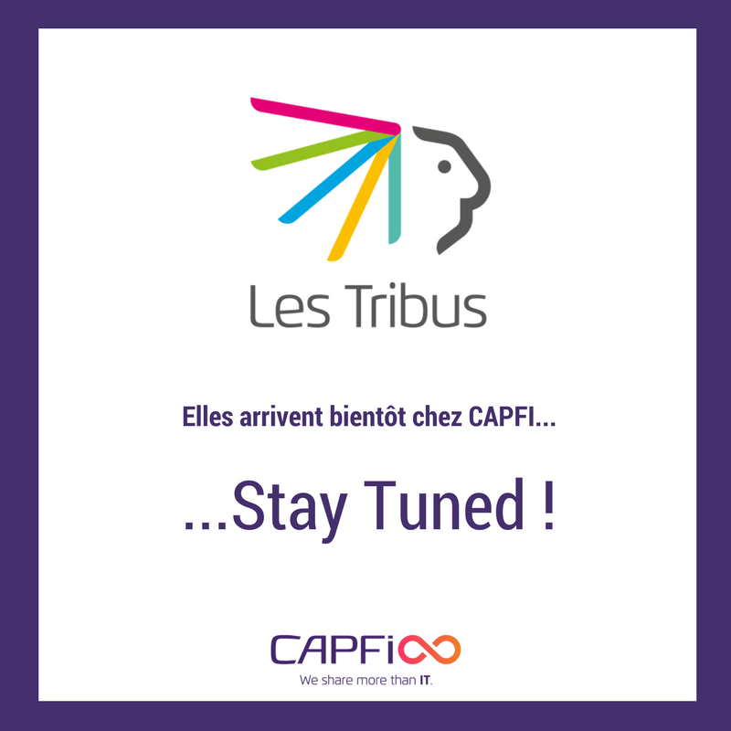 Cap_Fi's tweet photo. Bientôt chez @Cap_Fi @6eme_Sens @fcherpion #expertiseIT #ESN #ssi https://t.co/Uanwj7eR0R