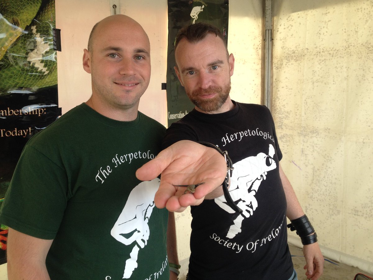 vvetter's tweet photo. Mysterious world of Ireland's #lizards, #newts and #frogs + tips on seeing them in the wild @HerpSocIreland PODCAST: https://t.co/YW30tfBMQ6 https://t.co/tU15AMMGKx