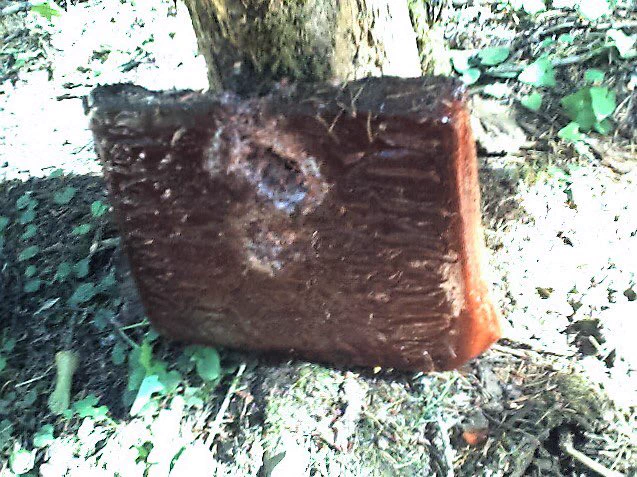 あずきバーすごすぎｗｗｗあずきバーが固いのは装甲素材・パイクリートと同じ原理だった！？