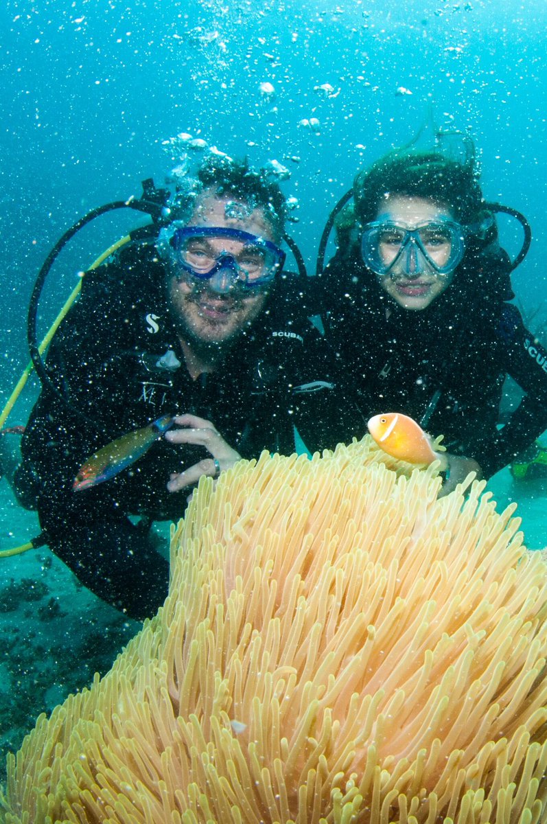 RoundzWorldMax's tweet photo. Me and my 10 year old son diving in the Great Barrier Reef:) Proud Dad moments! #abcscubadiving @PADI #junioropenwater https://t.co/UjhbtevMjB