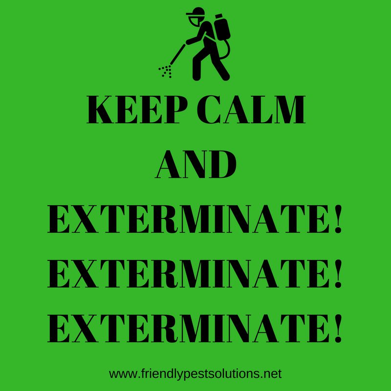 Zero_bugs's tweet image. Whatever your pest, we've got you covered! 

friendlypestsolutions.net