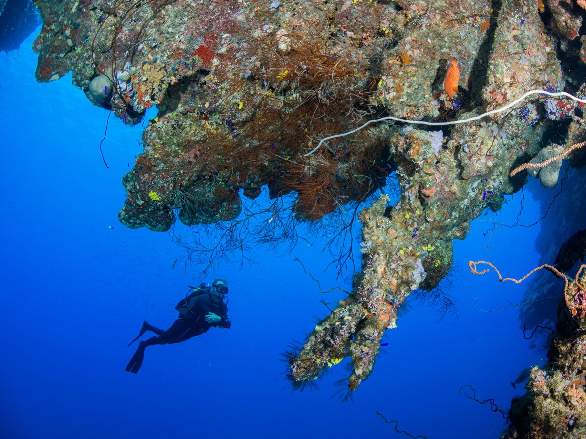 baresports's tweet photo. Stay warm when you're 100 feet down with #BAREwetsuits: https://t.co/gWNGxl4EMS #scuba https://t.co/BOsAfQdZ60