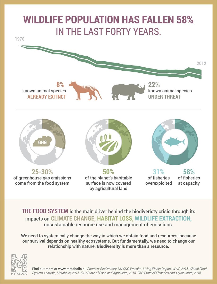 Today is #InternationalDayForBiodiversity, and its time we talk about the biodiversity impacts of the #globalfoodsystem