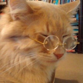 PacksToMe's tweet image. 🌼Icons de Gatinhos🌼

》RT se salvar》
》FAV se gostar》
》Créditos se usar《/duda