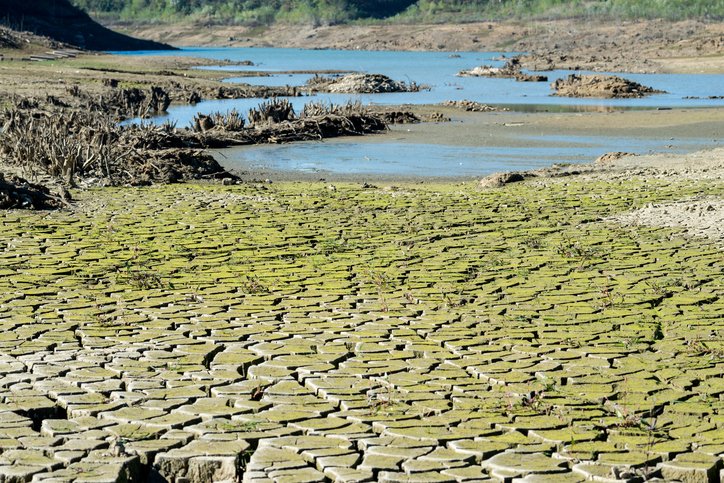 News24's tweet image. Western Cape declared disaster zone over drought trib.al/JeUvLku