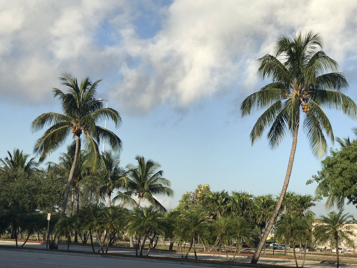 JordanCapela's tweet image. Beautiful view in #Miami this morning! #workhardplayhard #paradise