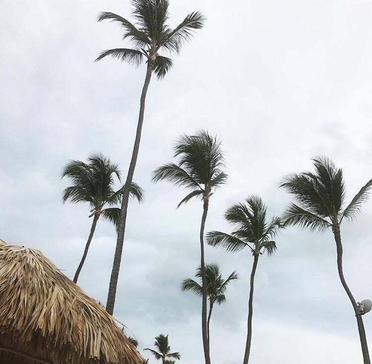 Skin_Image's tweet image. Check out our Microdermabrasion service gets rid of wrinkles, acne scarring, stretch marks etc.  
visit crwd.fr/2qMrnCG #skinimage