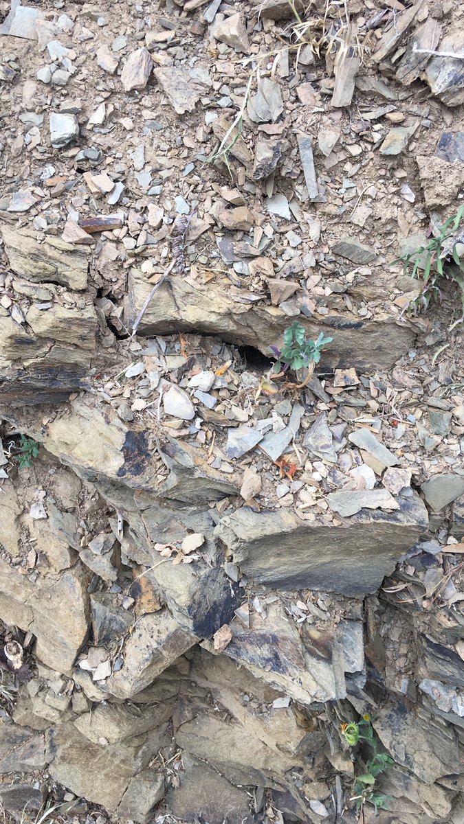 ZoltanCsabaNagy's tweet photo. Hoy empieza #EspaiPriorat17 ! Descubrir esta tierra única por sus vinos y si gastronomía es un verdadero lujo. https://t.co/eyBMsARuvf
