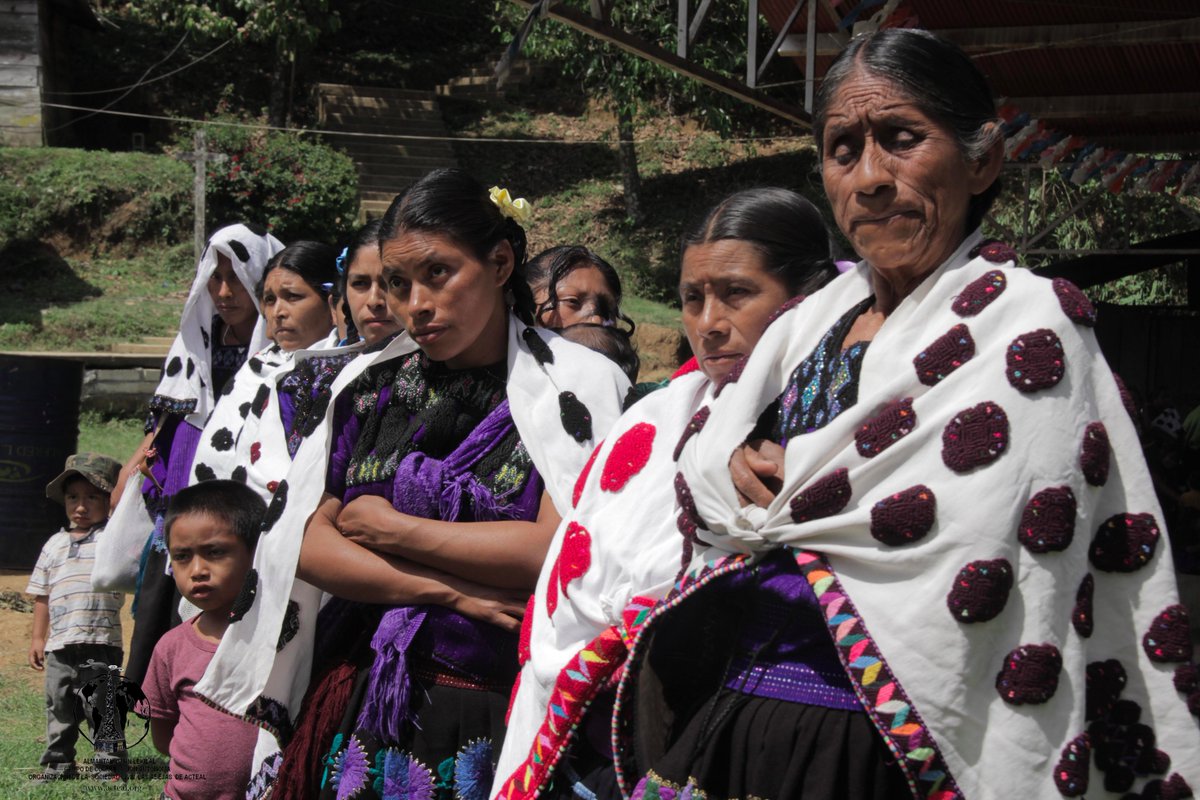 AbejasDeActeal's tweet photo. Seguir denunciando este infierno en que han convertido a México Enrique Peña Nieto y los ricos y poderosos 
https://t.co/WSWcbq90Sl https://t.co/s0J4xtygbO
