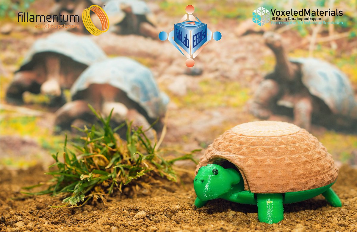 FabLab_EEBE's tweet photo. Mixing @Fillamentum  materials to obtain great results like this cute turtle 🐢😍  #3Dprinting #upc #eebe https://t.co/vlNkpGu3Zz