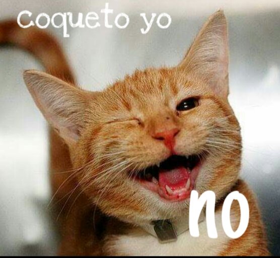 25hum's tweet photo. Hola buenas tardes amig@s https://t.co/DRwn4gy27U