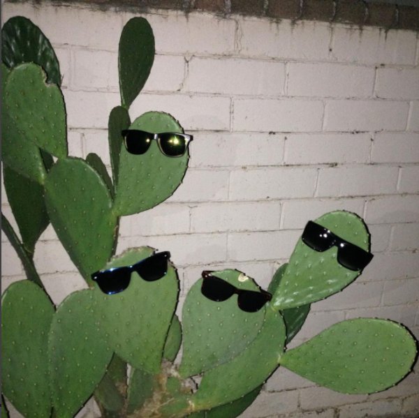 ~+ yo! reminder ~+ HOOPS +~ PURR ~+ JOY AGAIN ~+ JUNE 8th +~ as part of <a href="/NorthsideFest/">Northside Festival</a> ~+ this will sell out soon +~ ticketfly.com/purchase/event…