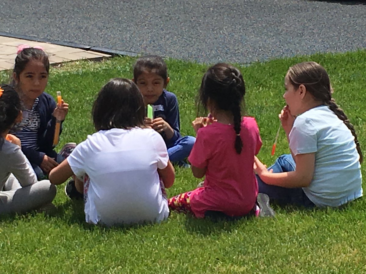 More pics from Westdale's Field Day #d83shines