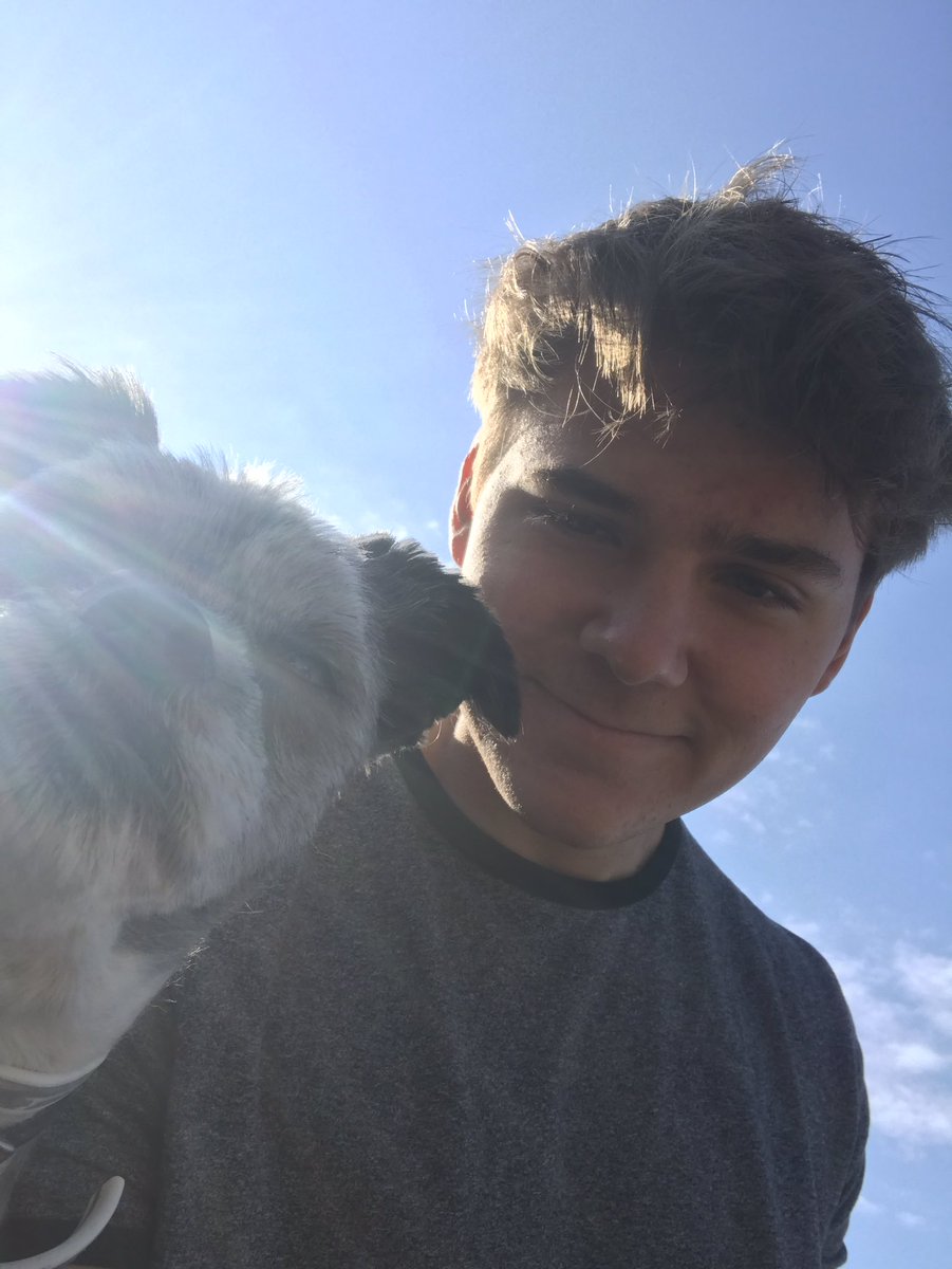 AlexErnst's tweet photo. morning https://t.co/i7Qys91vrz