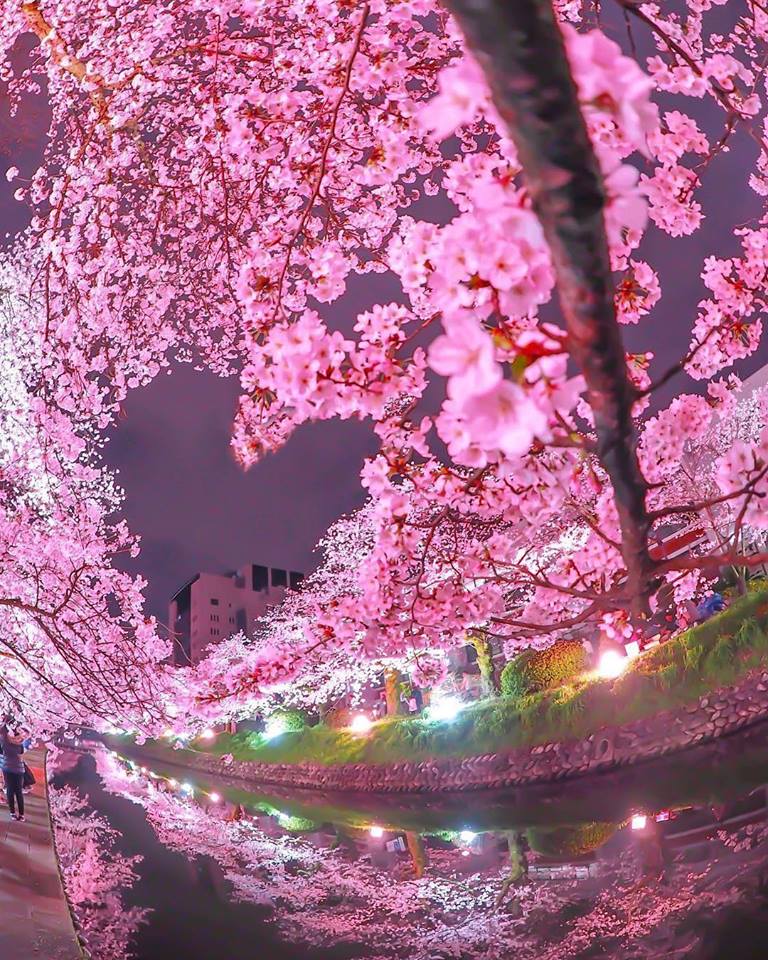 <a href="/cannyhighlander/">Heather</a> <a href="/RossVzla29/">LOVE AND PEACE</a> <a href="/Joseph010202/">Joseph</a> <a href="/farahmc1/">farahmcfadden</a> <a href="/purposefulact/">Purposeful Action</a> @caya47 <a href="/2020sahara/">Tm_Maya Ⓜ️ #EasyGain 🌊</a> <a href="/ignaarist/">aristides</a> <a href="/henrirouen/">Henri Rousseau</a> @BarrettKays <a href="/LOYALFAN1/">DONNA CARRIERE</a> 🌸💞🌸