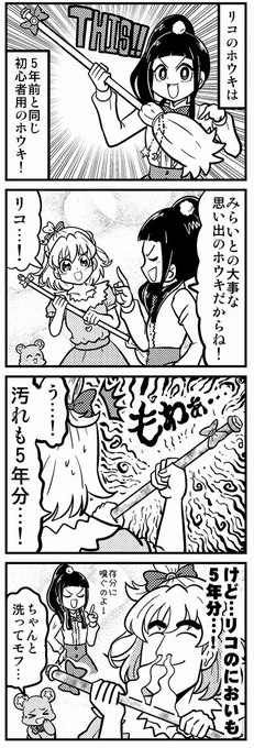 5年物のホウキ 