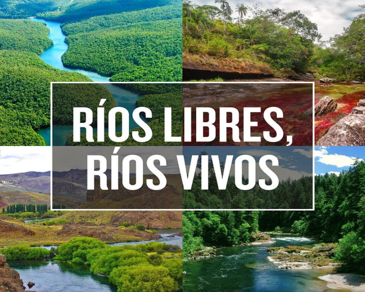 glenditaaldunat's tweet photo. Patagonia SIN Represas... AHORA y SIEMPRE !
#CuervoSINRepresas https://t.co/Kt09xTvu2c