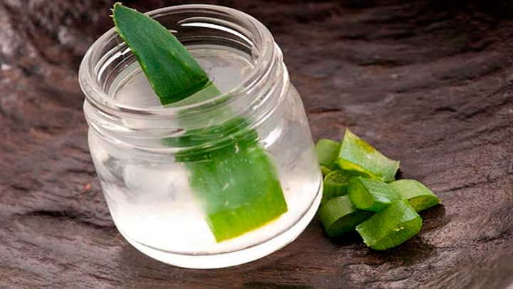 Aloe vera schützt und regeneriert die Haut eine tiefe bakterizid, Feuchthaltemittel und Reinigungswirkung ausüben.