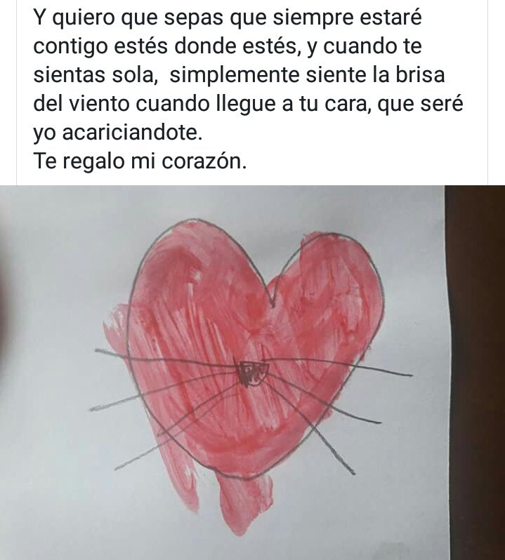 DeAutismo's tweet photo. Te regalo mi corazón. https://t.co/7yUr5G5Tr8