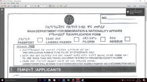 PASSPORT FORM ethiopianembassy.fr/passport-form