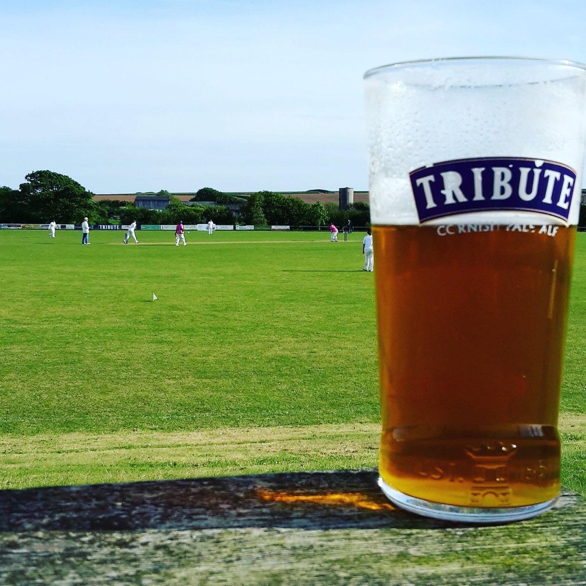 BrayStacker64's tweet image. If Tribute did cricket matches #festivalofwomenscricket @StAustellBrew @Tribute_Ale