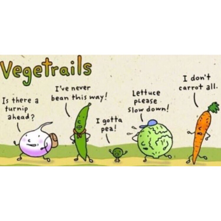 katedangery's tweet photo. A little running #mondaypunday in honor of the @buffalomarathon this weekend 🥕🏃🏼‍♀️ #buffalomarathon #bufmar #marathontraining #26.2 https://t.co/q6uqQNIwTR