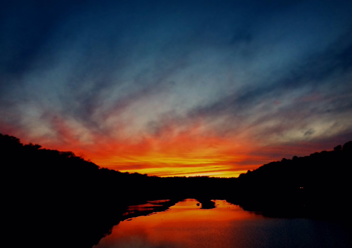 Mickel Word tweet media