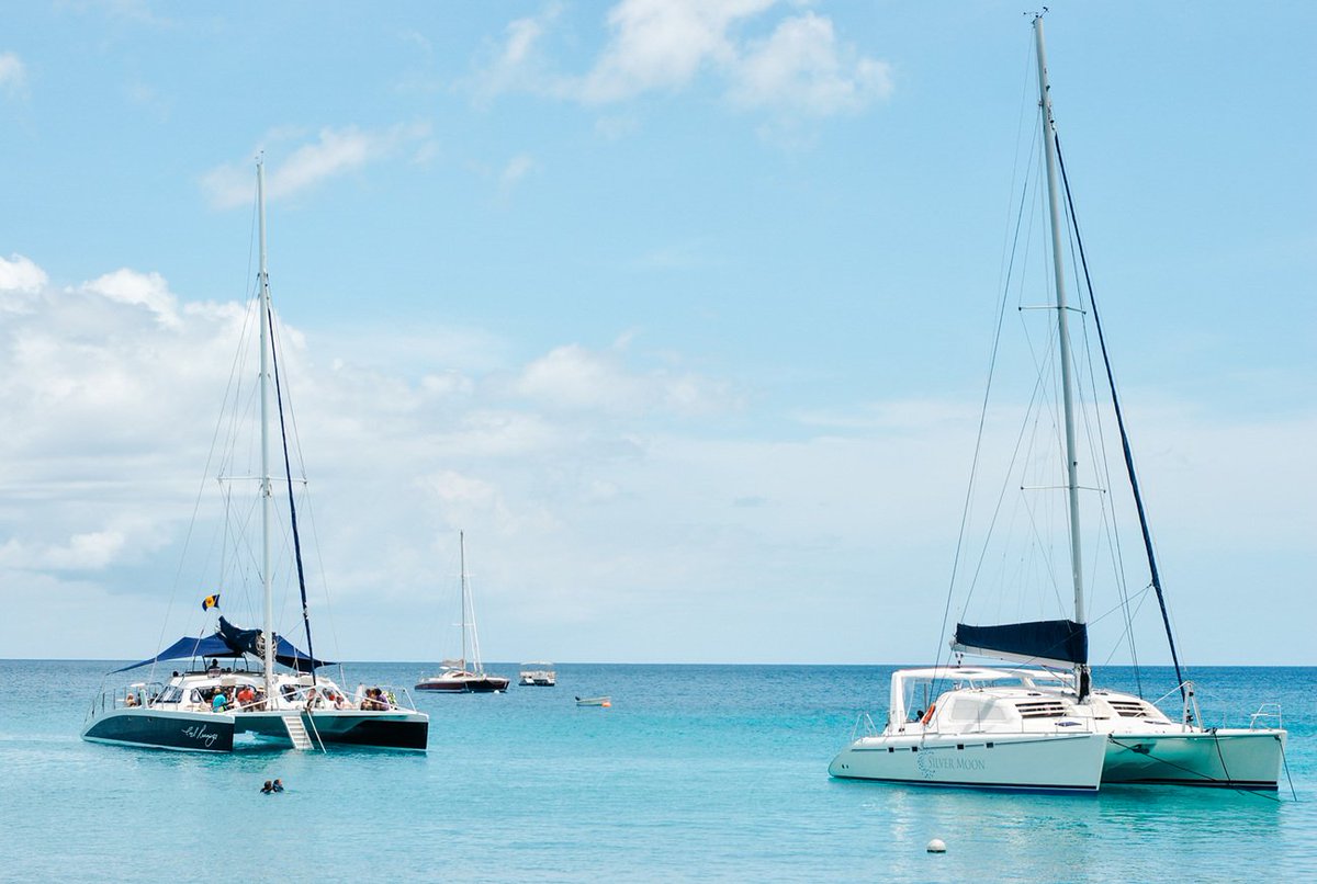 Savoteur tweet media