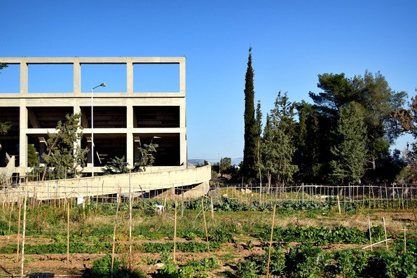 efluxeducation's tweet photo. Nature Addicts Fund hosts its fifth traveling academy "Bloom Again" May 22–27, 2017 in Eleusis, Greece. @NA_fund https://t.co/HWgYliSMA6 https://t.co/sukEkDXaid