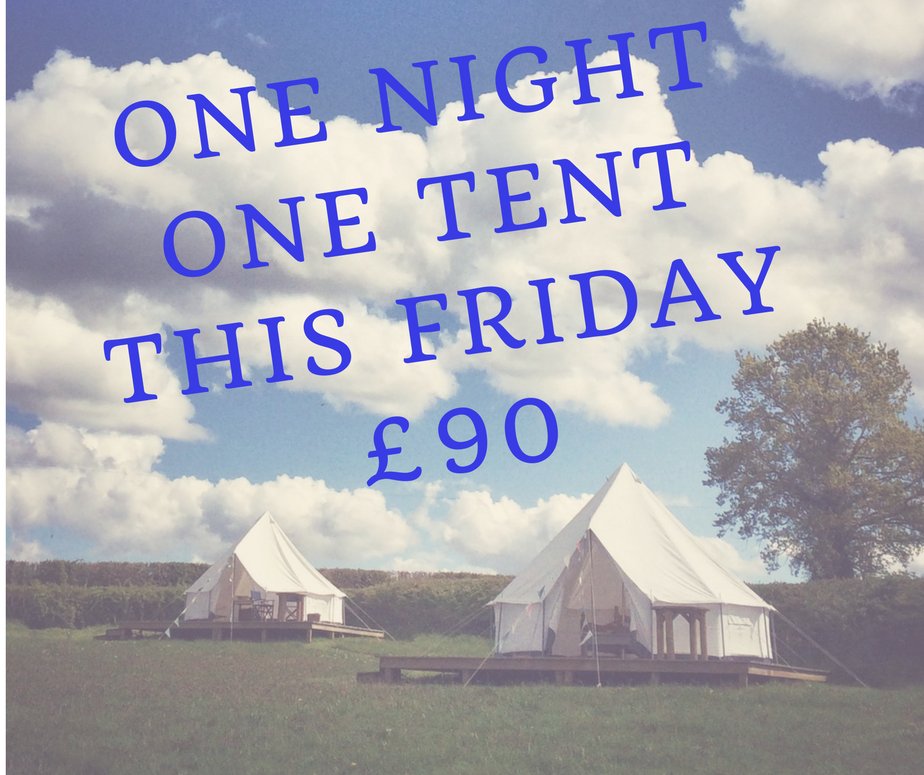 One Tent...One Night...this Friday! <a href="/cool_camping/">Cool Camping x Hipcamp</a> <a href="/WeLoveGlamping/">Love Glamping</a>