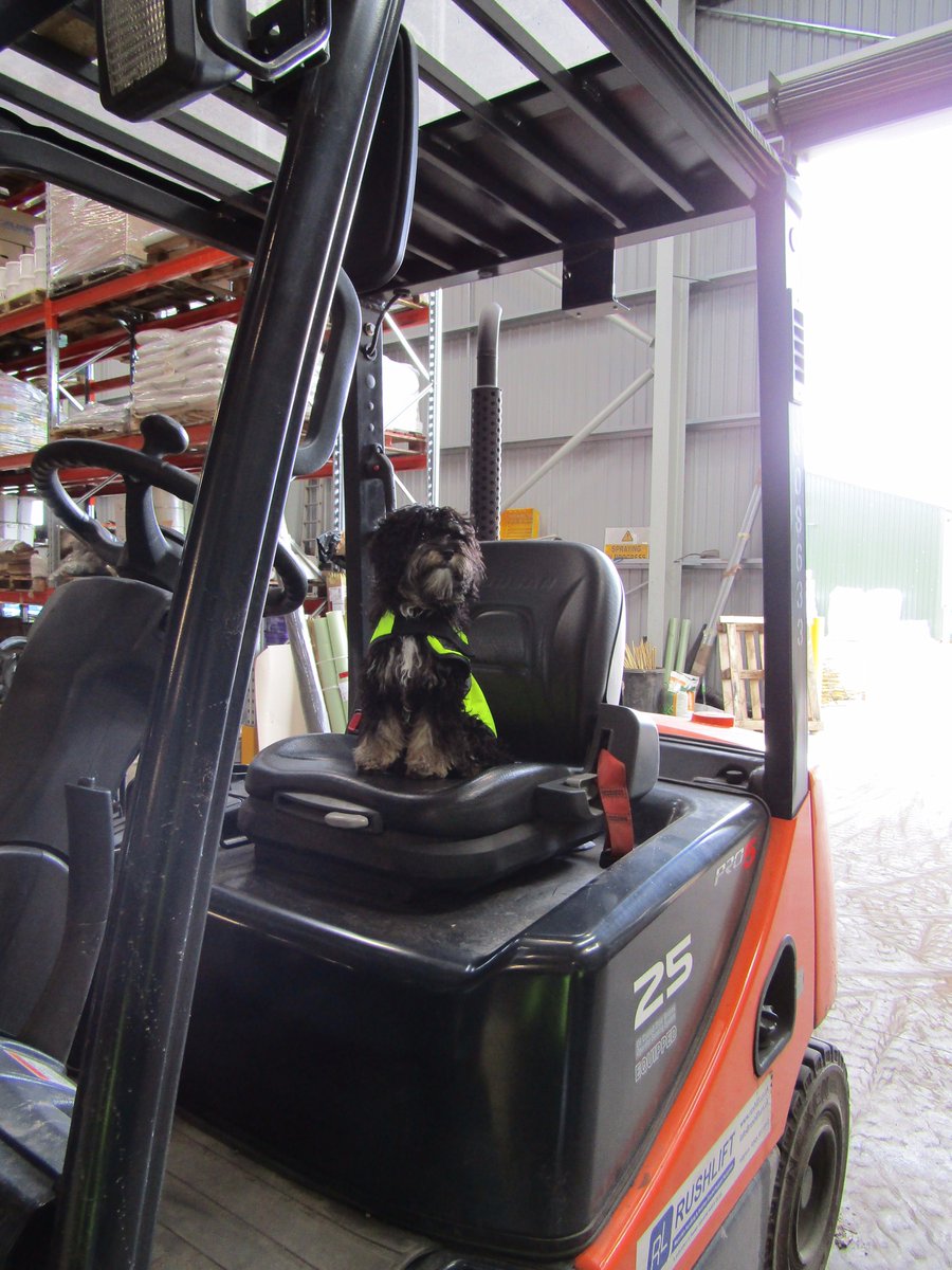 Greentechltd's tweet photo. It's been all hands (& paws) on deck today to get orders out of the door. #TeamGreenTech #landscaping https://t.co/HUW6ZoFmmA
