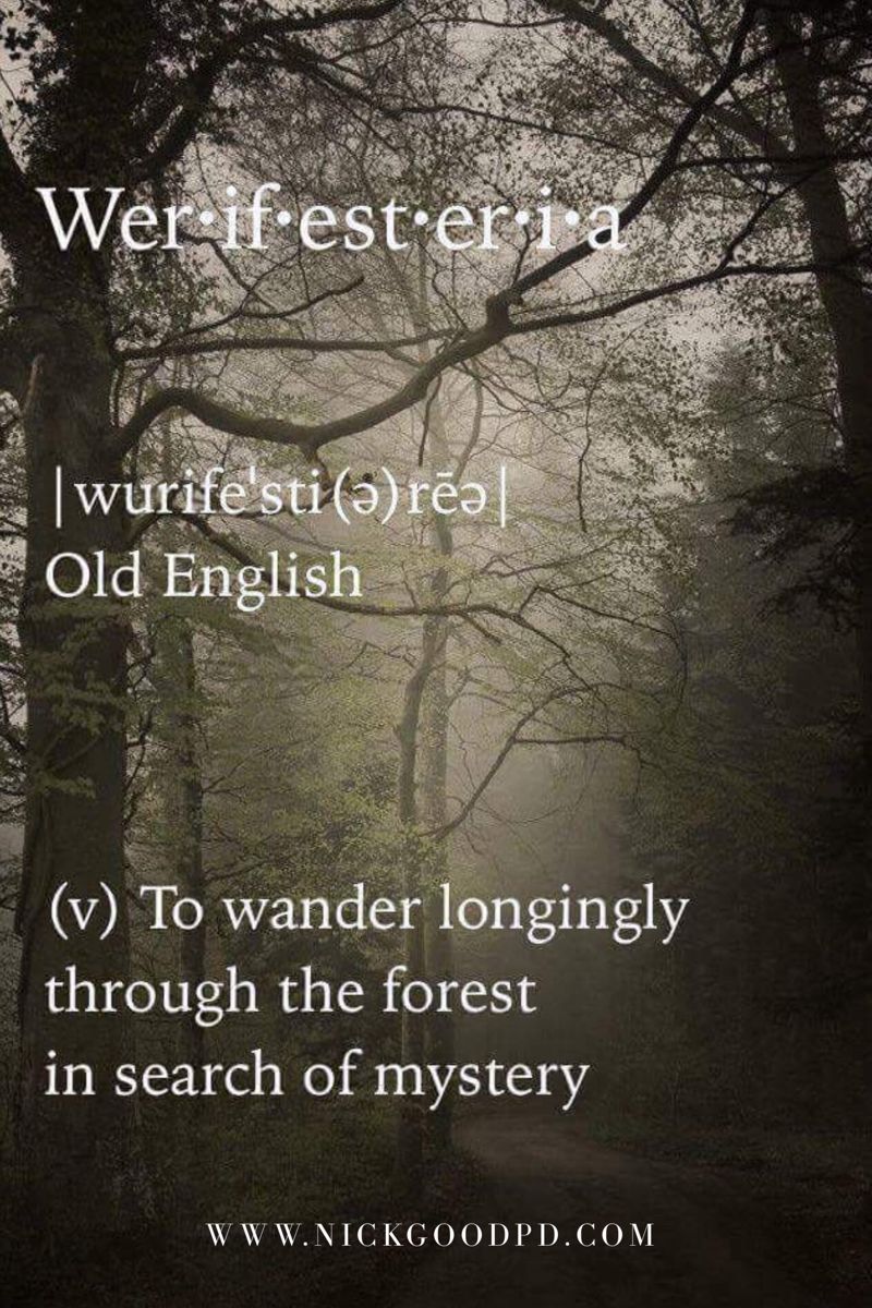 nickgood_pd's tweet photo. Love learning words that have disappeared from our language...this one is so perfect, don't u think? #revival #werifesteria #lovingthis https://t.co/5yYs5Hd7qP