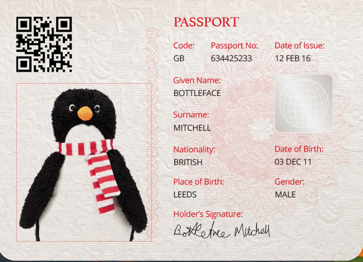 target passport photos