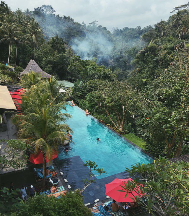 ninabalivillas's tweet photo. 11 things to do in Bali!
https://t.co/WbHwyYTxKV
#thingstodoinbali #visitbali #ninabalivillas #bali #holiday #travel #activities #gotobali https://t.co/OdnRKiqrOb