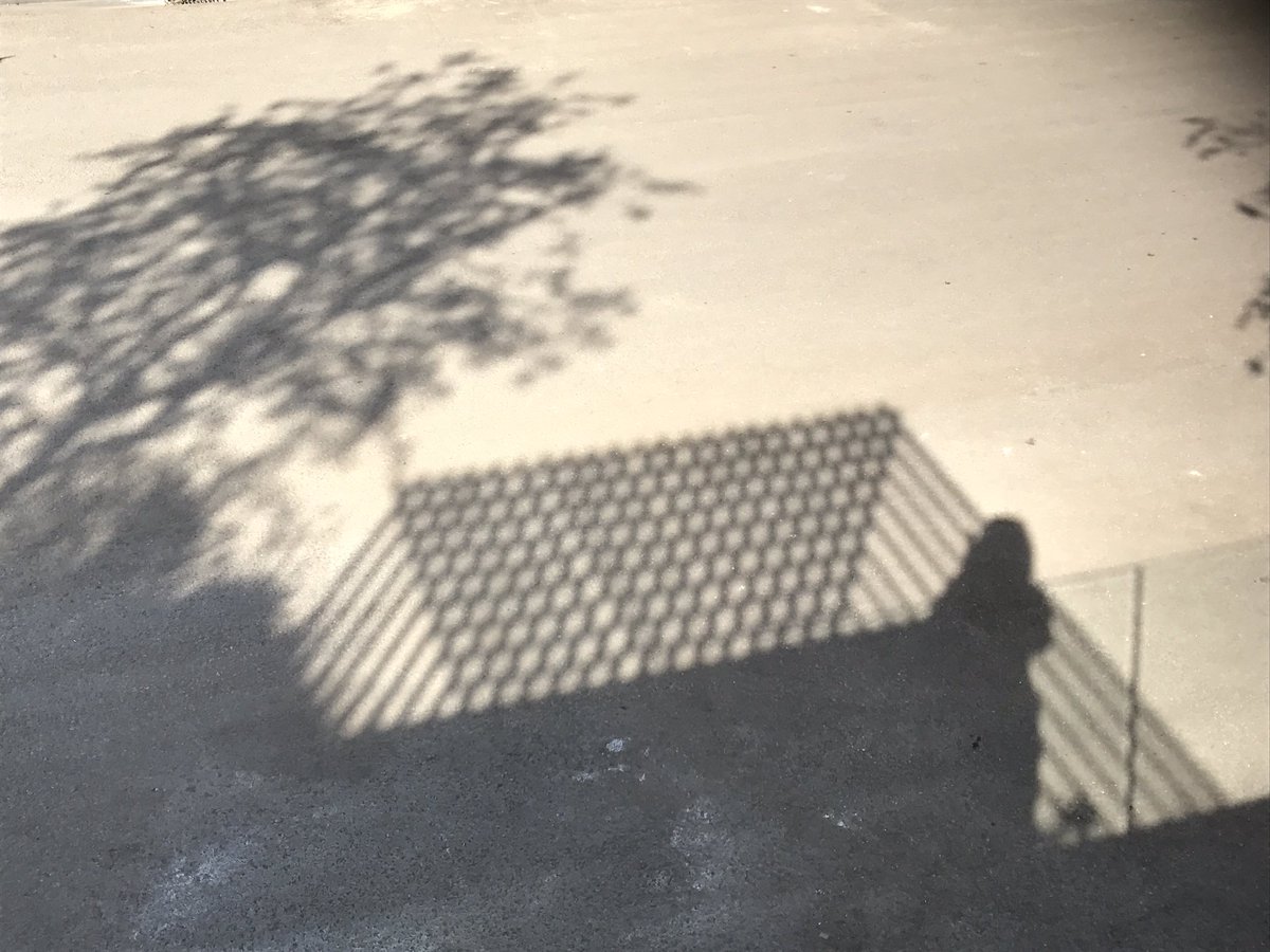 KateGouldGarden's tweet photo. #RHSChelsea #shadows https://t.co/jybo7Q248h