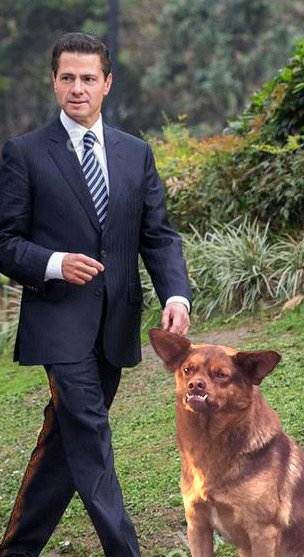 View image on Twitter