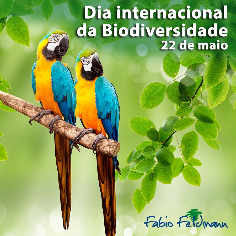 fabio_feldmann's tweet photo. https://t.co/EamgtdAMhK