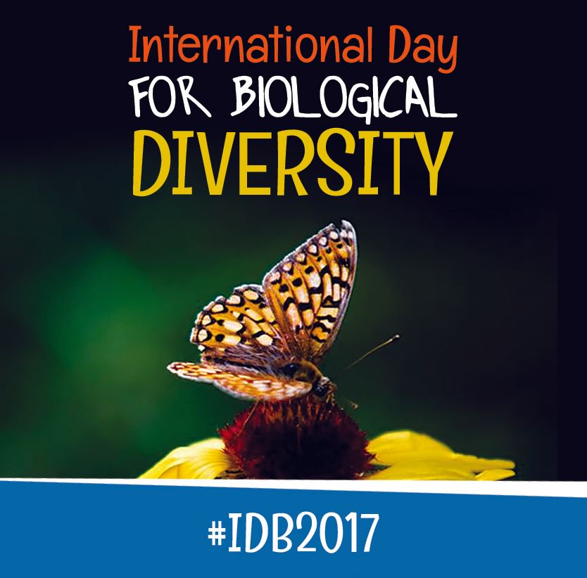 CUPE5277's tweet photo. Today, we recognize our great species &amp; ecosystems that function as the foundation of tourism. Learn more: https://t.co/0h3Cy1EU16 #IBD2017 https://t.co/KESlFyax0x