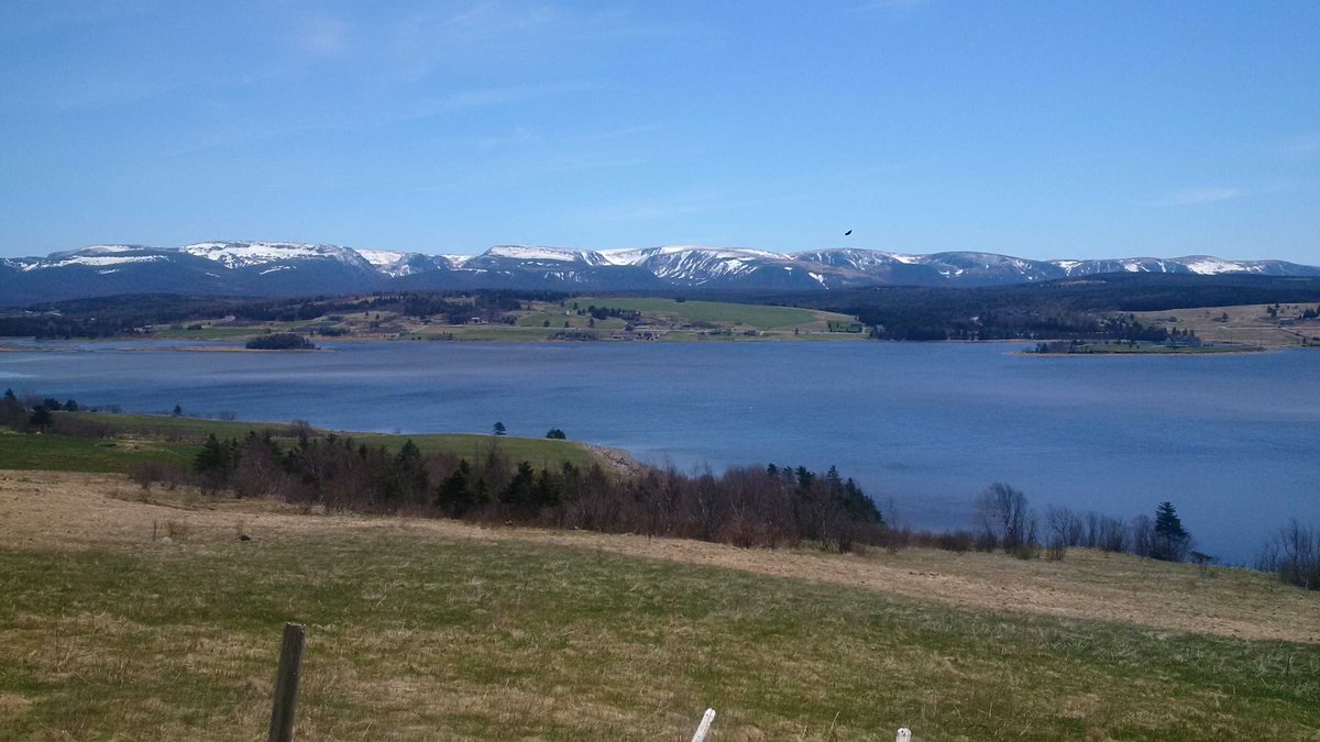 Wonderful day in the Codroy Valley today.