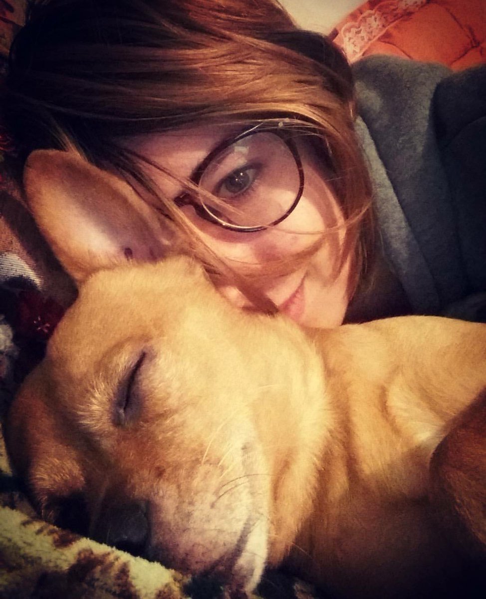Martina2470's tweet photo. @TheDanocracy #Danclock Dan my dog is my clock because every morning he comes to my room and jump on me o wake me up. It's the best alarm ❤ https://t.co/4G6CNuyrSX
