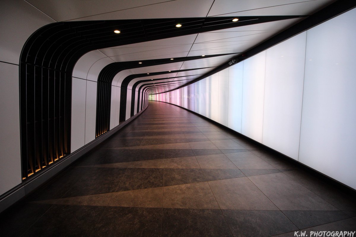 Kiwi Capture tweet media