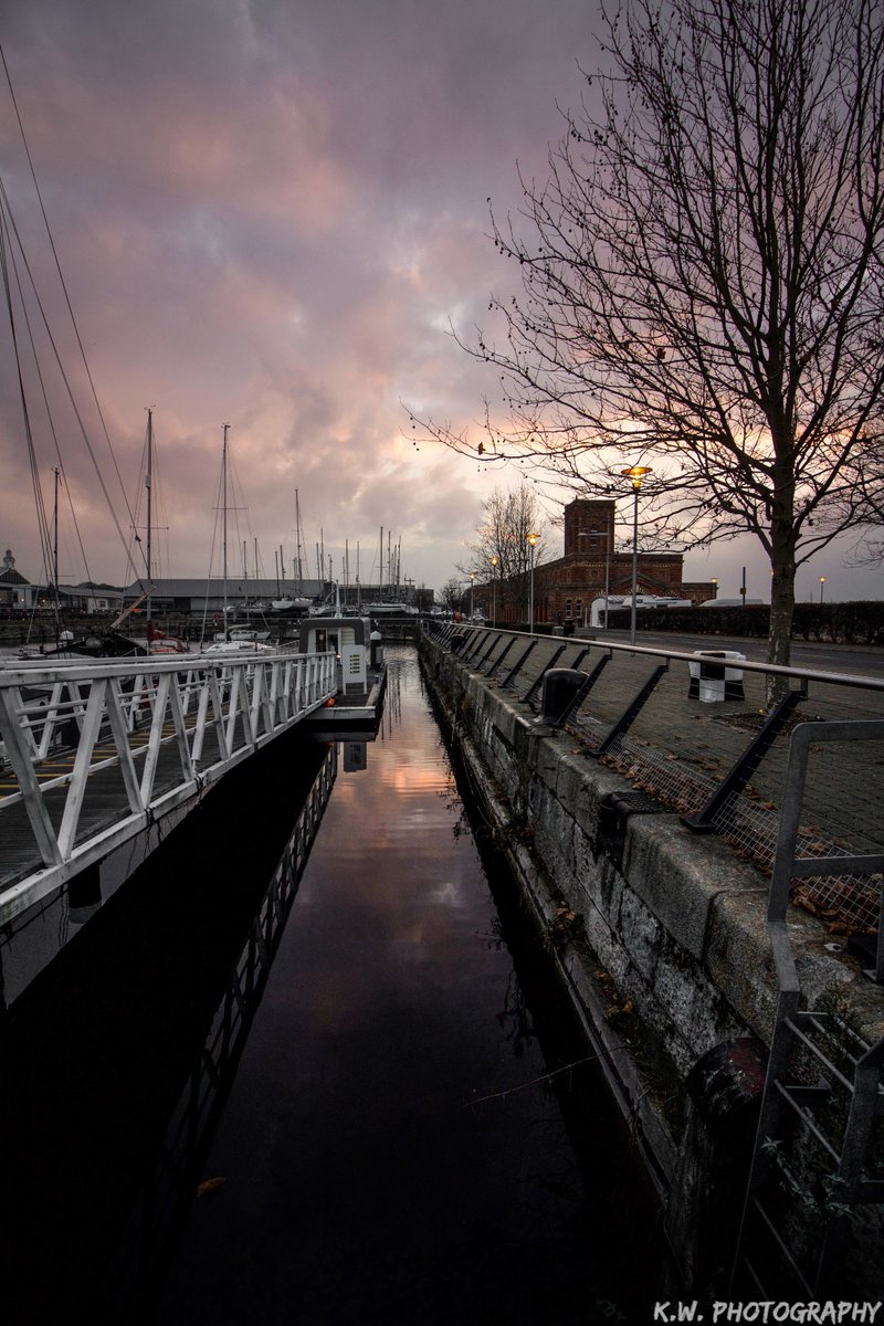 Kiwi Capture tweet media