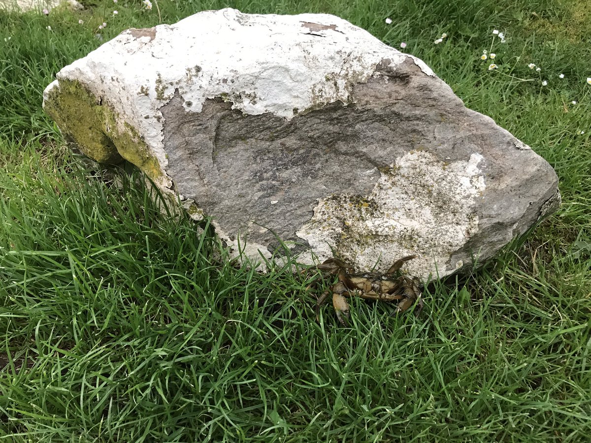 LimitlessLDN's tweet image. A "wee" reccy in preparation for our Cycle Retreat to Tighnabruaich in June.