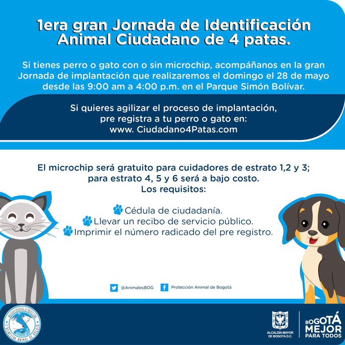 Ver imagen en Twitter