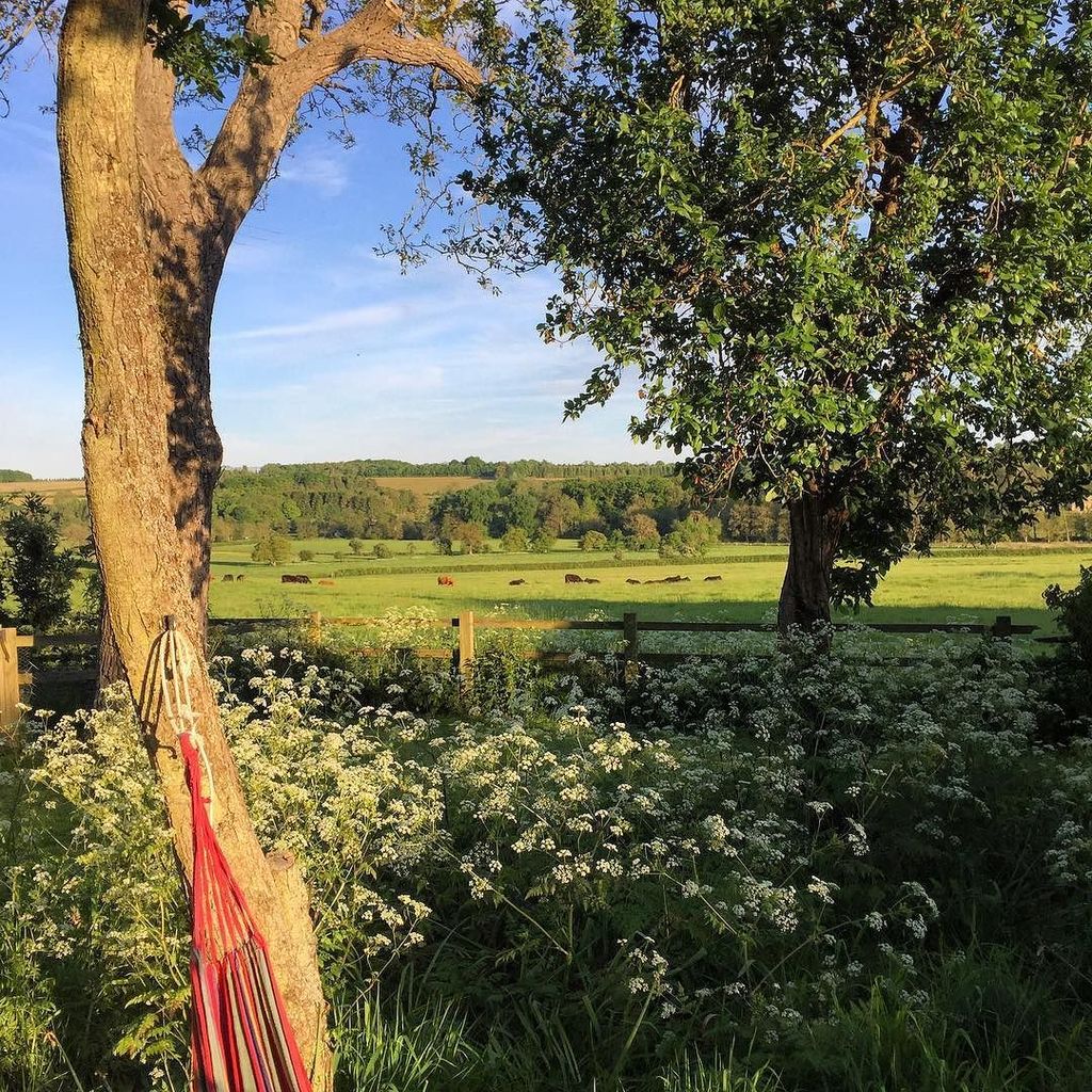 100AcresUK's tweet photo. Not such a bad Monday afternoon view 💚💚😉😉💙💙 ...everything better when the sun is shining!
.
.
#viewfromhere #viewf… https://t.co/7vSwbSR3AL https://t.co/bIGiKVG5eQ