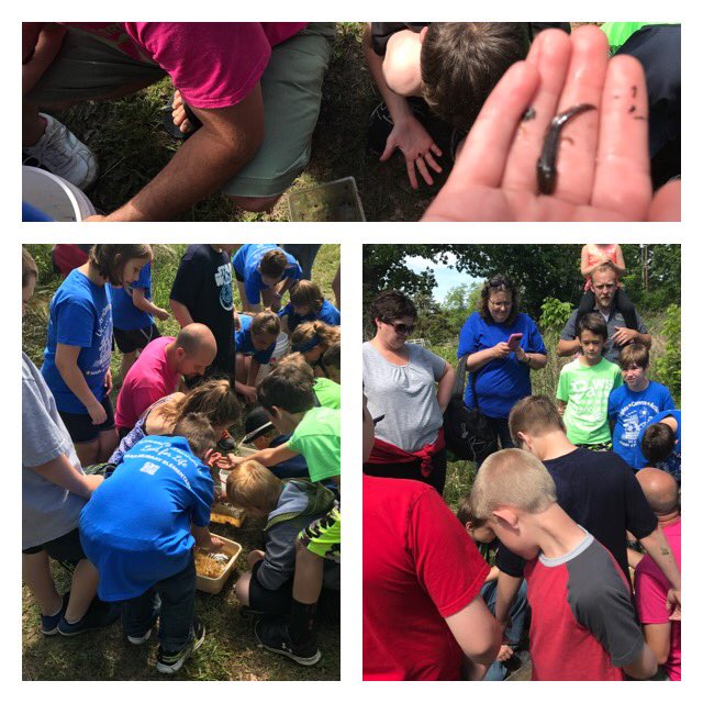 Diabolical_Mr_F's tweet photo. @edgar_murray @CheriIngle202 @Bulldog_Supt loving some time at Earth's Classroom! #learninginoutdoors #stcr13 https://t.co/rwzr9Xx9tW
