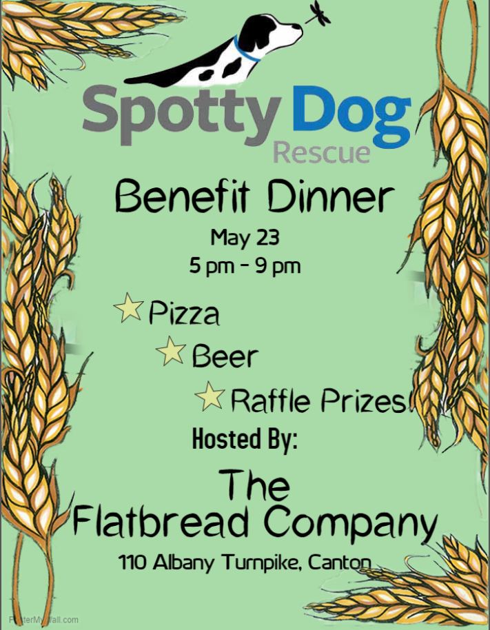 SpottyDogRescue's tweet photo. Tomorrow! Come enjoy some delicious #pizza and #beer with us at Flatbread Co. in Canton! #adopt #rescue #dogs https://t.co/AL7PzojCIk
