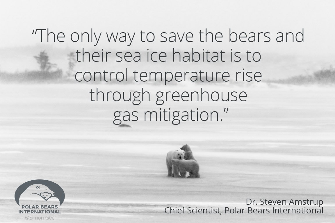 PolarBears's tweet photo. #saveourseaice #actonclimate https://t.co/EtlriSAPbW