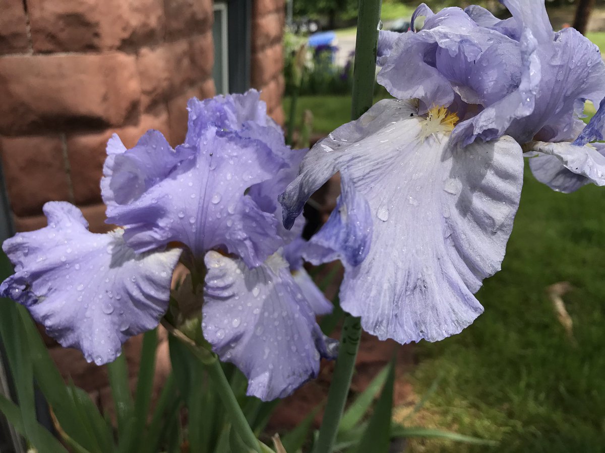 sadphuzz's tweet photo. Spring is the absolute best https://t.co/wdDaIJH8zH