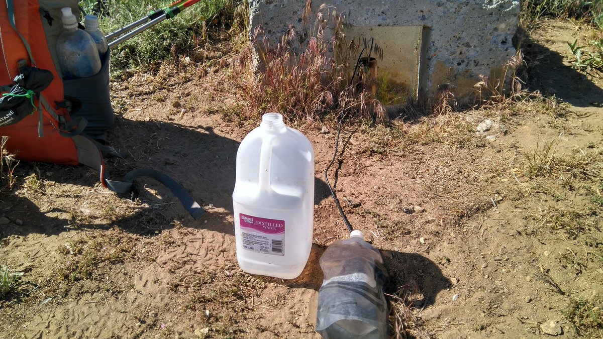 bykenico's tweet photo. Por fin doy uso algo q aprendí en la escuela. Los vasos comunicantes, como extraer un litro de agua de un tubo. https://t.co/sSYVz96Iov
